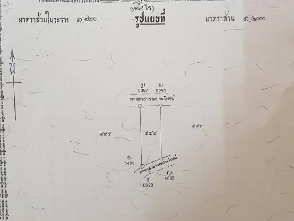 ที่ดินเปล่า 1ไร่ ตำบลหนองหงษ์ อำเภอพานทอง