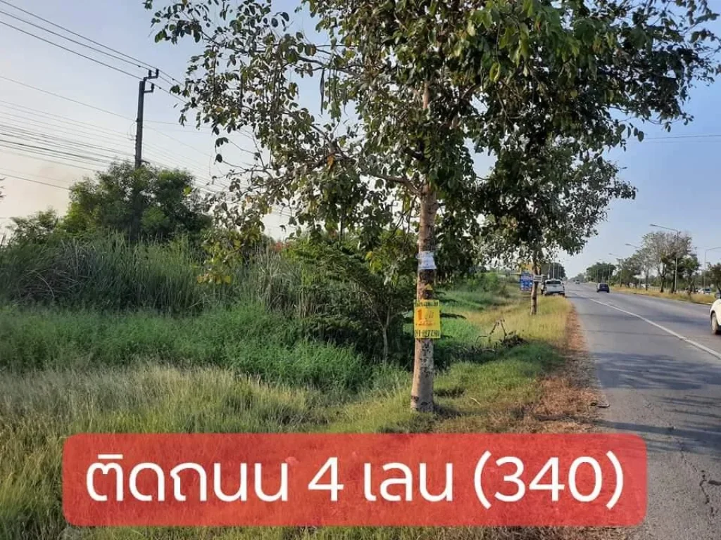 ขายที่ดินติดถนนบางบัวทอง-สุพรรณบุรี 2-1-96 ไร่ ฝั่งขาออก ใกล้โรงงานเถ้าแก่น้อย ไทรน้อยนนท