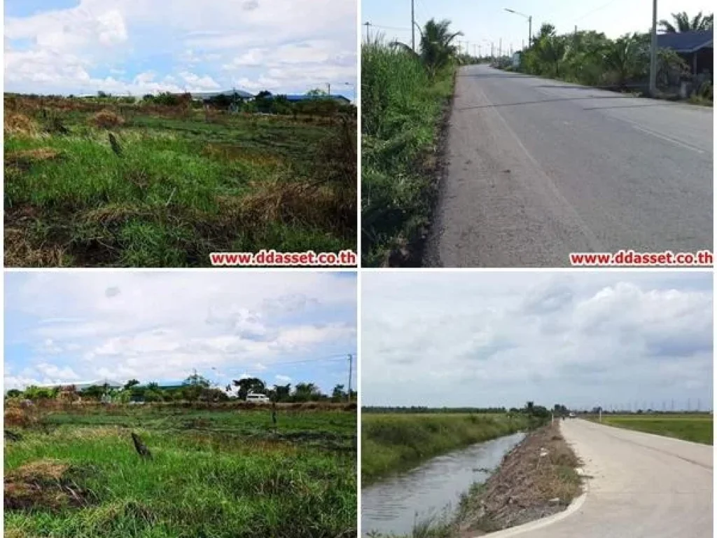 ขายที่ดิน ติดถนน ลำลูกกาคลอง 7 ฝั่งตะวันออกเส้นเดียวกับเทศบาลธัญบุรี