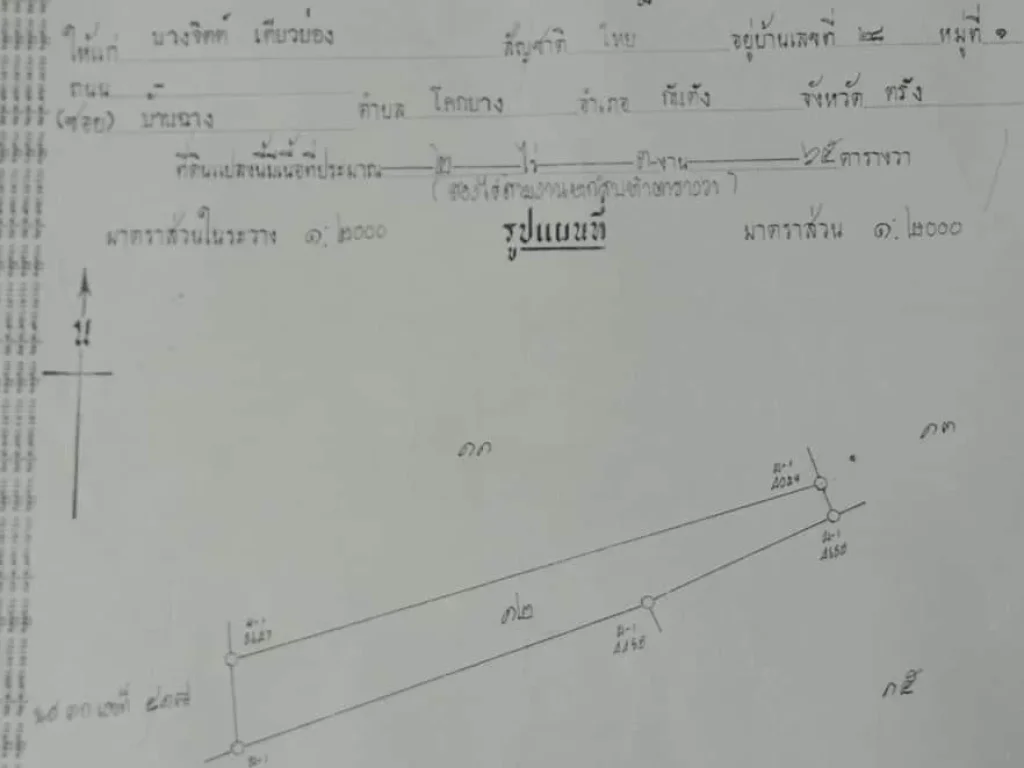 ขายที่ดิน2ไร่3งาน65ตรวา