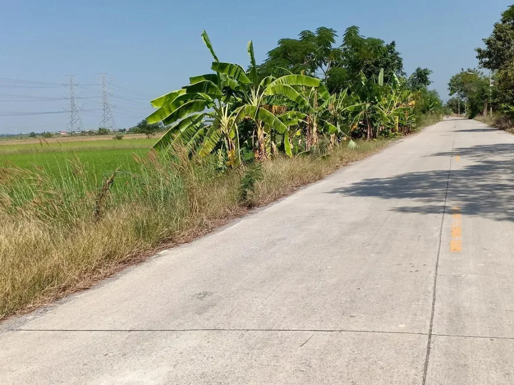 ขายที่ดิน 34 ไร่ ติดถนนคลอง8 ลำลูกกาคลอง8 ปทุมธานี