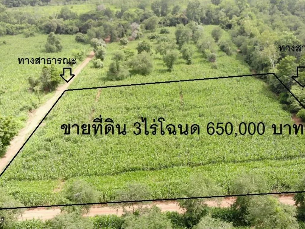 ขายที่ 3ไร่ 30 ตรวโฉนด 650000 บาท