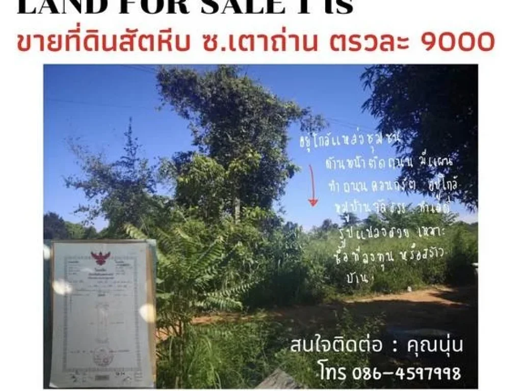 ขายที่ดิน1ไร่ซอยเตาถ่านสัตหีบชลบุรี ตรวละ 9000 บ