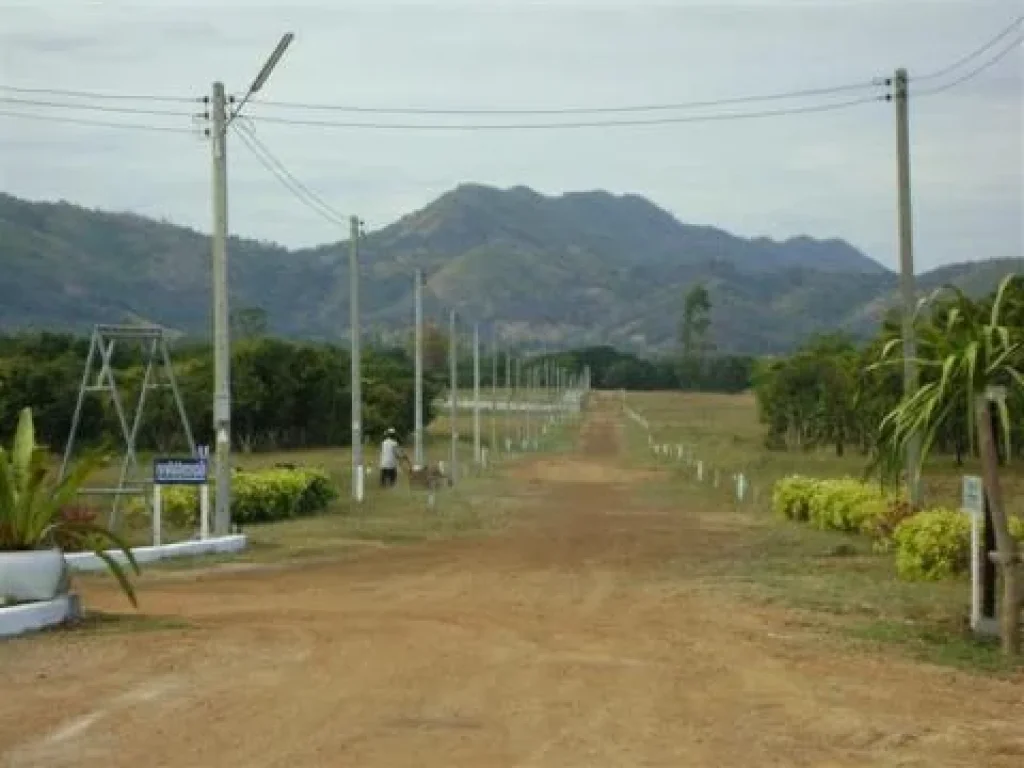 ขายที่ดินโฉนดเพชรบูรณ์ 2-1-65 ไร่ ที่สวยวิวเขา น้ำไฟพร้อม