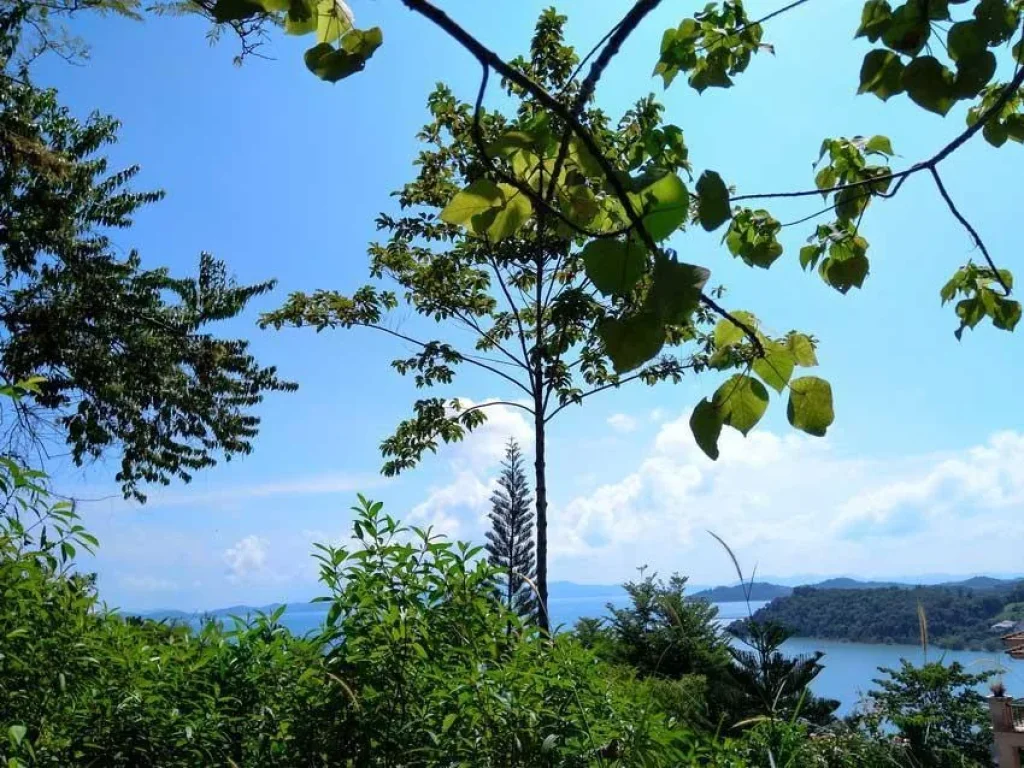 Seaview land for sale in Aopo Phuket