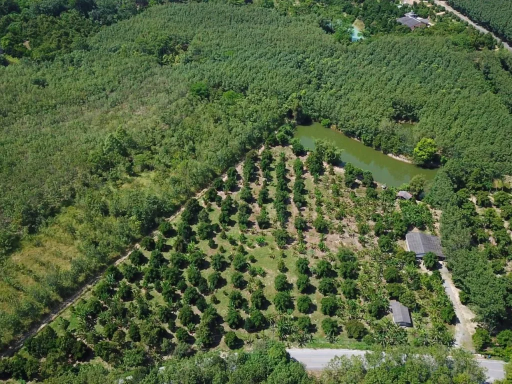 รหัส108 ที่สวนผลไม้ บ้านสวน ในอ้อมกอดของธรรมชาติและขุนเขา