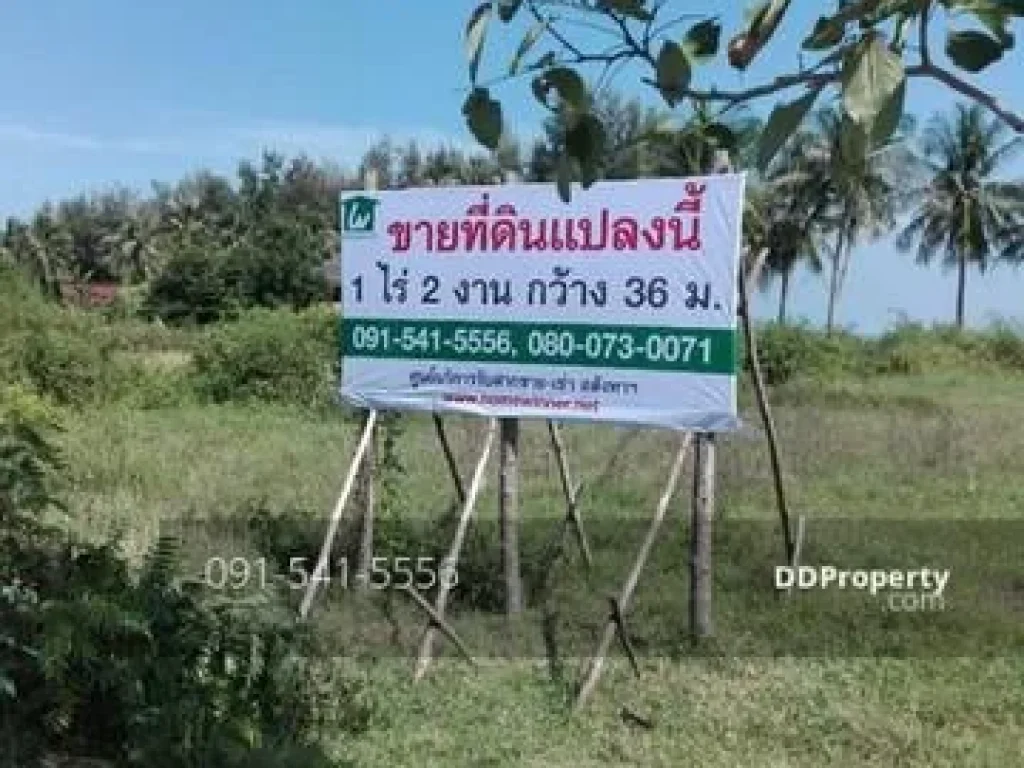 ขายที่ดินติดทะเล อกุยบุรี ประจวบคีรีขันธ์ 600 ตรว