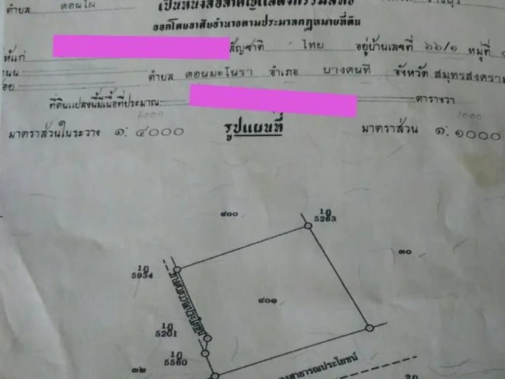 ที่ดิน 2ไร่ดำเนินสะดวก สวนมะพร้าวน้ำหอมเก็บขายได้เลย มีมะพร้าวอยู่ 168ต้นเก็บผลทุก 22วัน