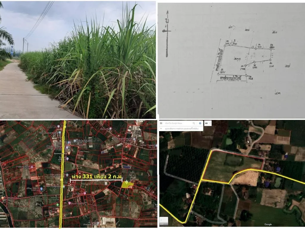 ขายที่ดิน 9 ไร่ 2งาน ไร่ละ 55 แสน จากถนน 331 ติดทาง2ด้าน ที่สูงไม่ต้องถม ไฟฟ้า ปะปาพร้อมใช้ ทำเลที่ดิน