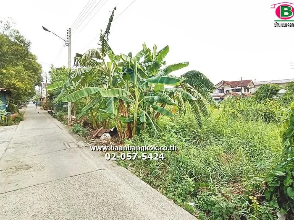 ขาย ที่ดินเปล่า เนื้อที่ 50 ตรว ซเปียร์นนท์ ถนนลำลูกกา อลำลูกกา จปทุมธานี