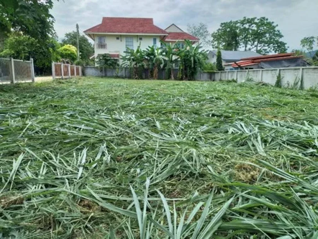 ขายที่ดินเปล่า 2 โฉนดติดกัน เขาใหญ่ ตำบลหมูสี ใกล้วัดถ้ำกฤษณา