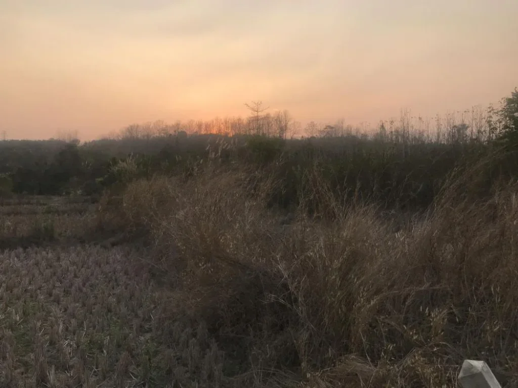 ขายที่ดินเปล่า นส 3 ข ทำเลสวยติดทางหลวงแผ่นดิน เหมาะสำหรับทำฟาร์ม ไร่นาสวนผสม ขุดสระเลี้ยงปลา โรงงาน 4 ไร่