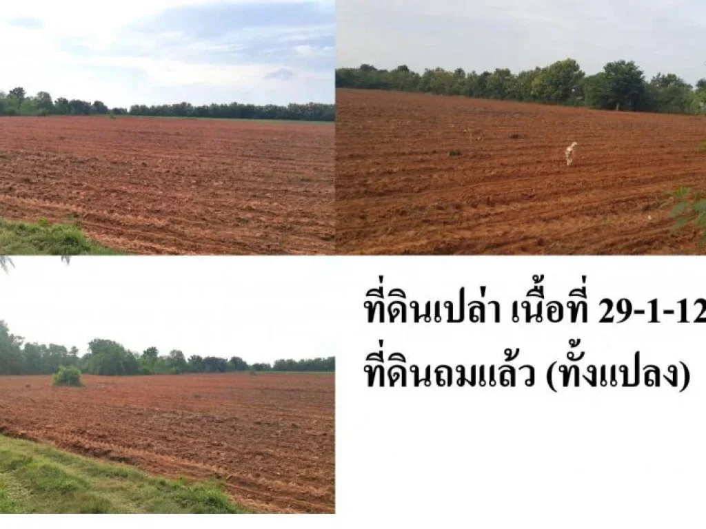 ขาย ที่ดินเปล่า 29-1-12 ไร่  อำเภอสีคิ้ว  ที่ดินถมแล้ว พร้อมรั้วคอนกรีต รอบแปลง