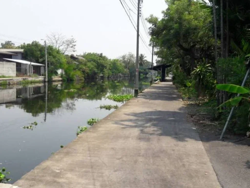 บ้านไม้พร้อมที่ดินติดคลองภาษีเจริญฝั่งใต้ หนองแขม กทม