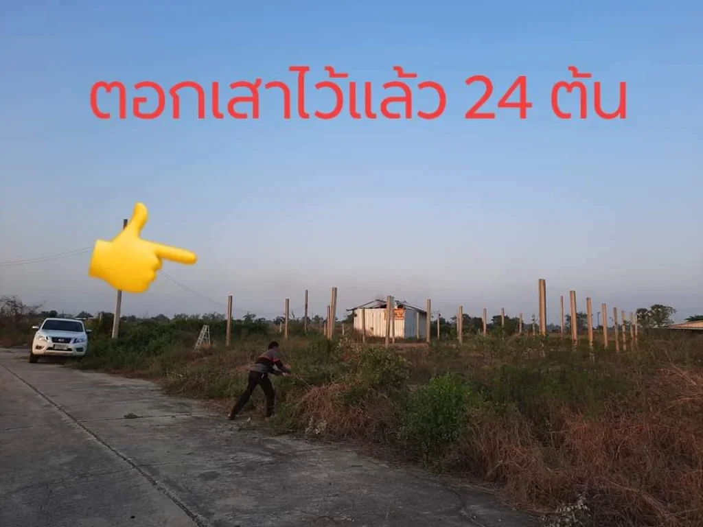 ขายที่ดินถมแล้ว 2-0-30 ไร่ ซอยหมู่บ้านเกษตรฮอลิเดย์ ถนนผดุงพันธุ์ หนองจอก กรุงเทพมหานคร