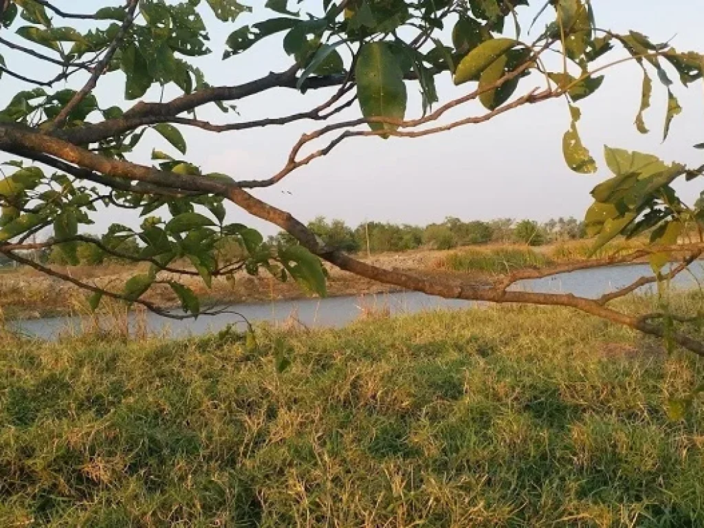 ที่ดินแปลงสวย ติดเลค วิวงาม ในสนามกอล์ฟสุวรรณภูมิ สดได้ผ่อนได้เอาที่สะดวก T062-1574449