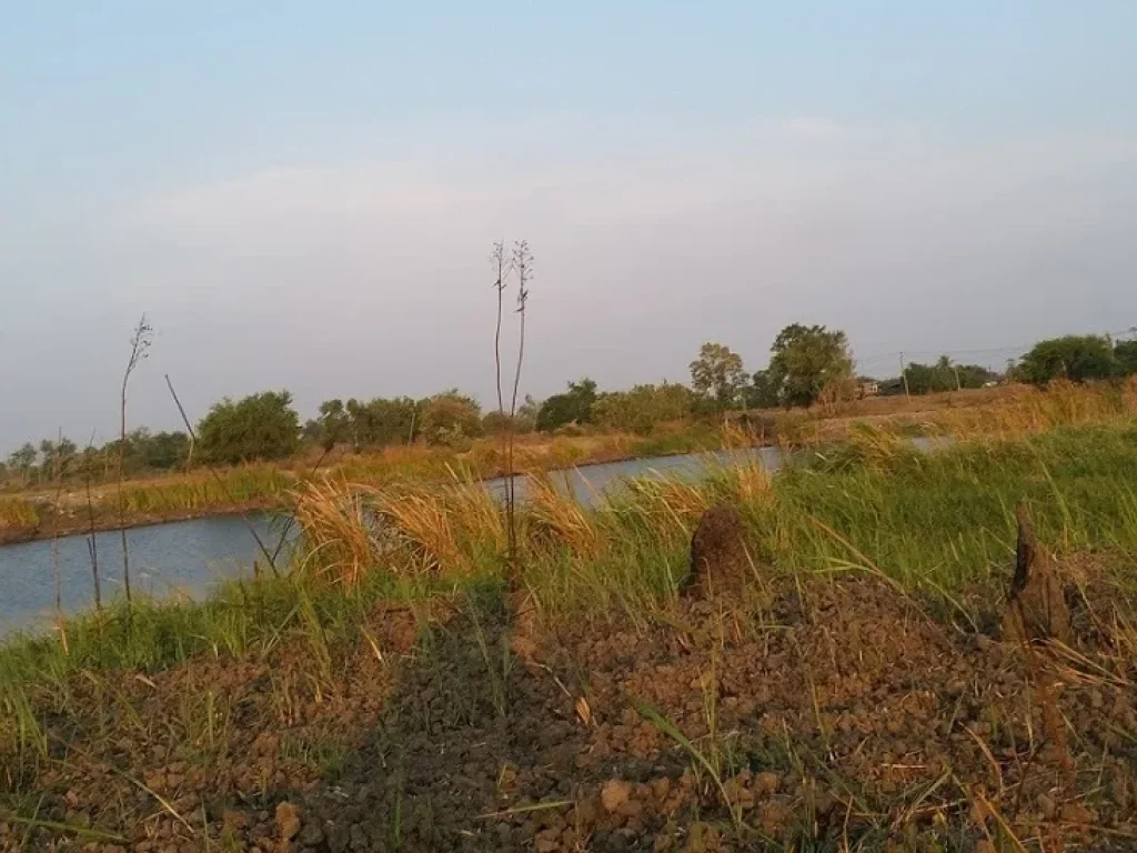 ที่ดินแปลงสวย ติดเลค วิวงาม ในสนามกอล์ฟสุวรรณภูมิ สดได้ผ่อนได้เอาที่สะดวก T062-1574449