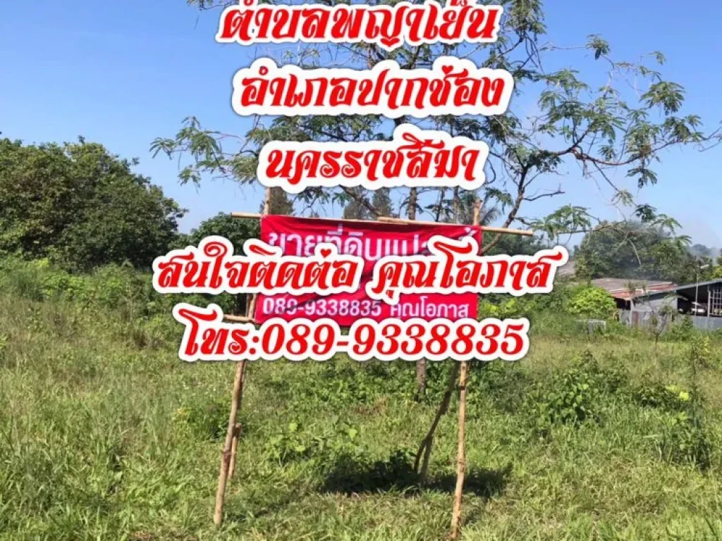 ขายที่ดิน18ไร่3งาน ขนาดพื้นที่80เมตรx360เมตร บนถนน โยธาธิการ 2068 นครราชสีมา ตพญาเย็น อ ปากช่อง จนครราชสีมา วิวเขา สวยมากๆ รับนายหน้าท