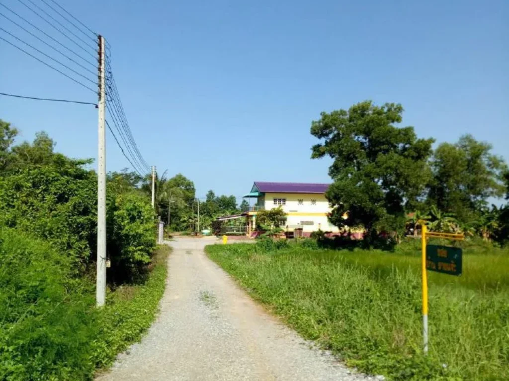 ขายเช่า ที่ดินในเมืองตราด ถนนชลประทาน-วังพลอย ซอยศาลจังหวัดตราด