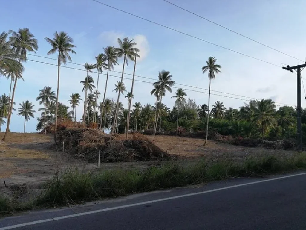 ขายที่ดินติดชายหาดคอเขา อหลังสวน จชุมพร เนื้อที่ 4ไร่ครึ่ง ราคาไร่ละ 45ล้านบาท