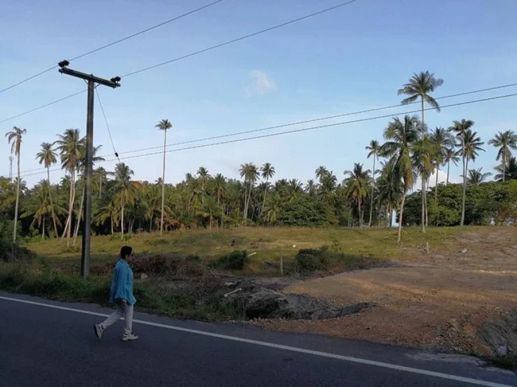 ขายที่ดินติดชายหาดคอเขา อหลังสวน จชุมพร เนื้อที่ 4ไร่ครึ่ง ราคาไร่ละ 45ล้านบาท