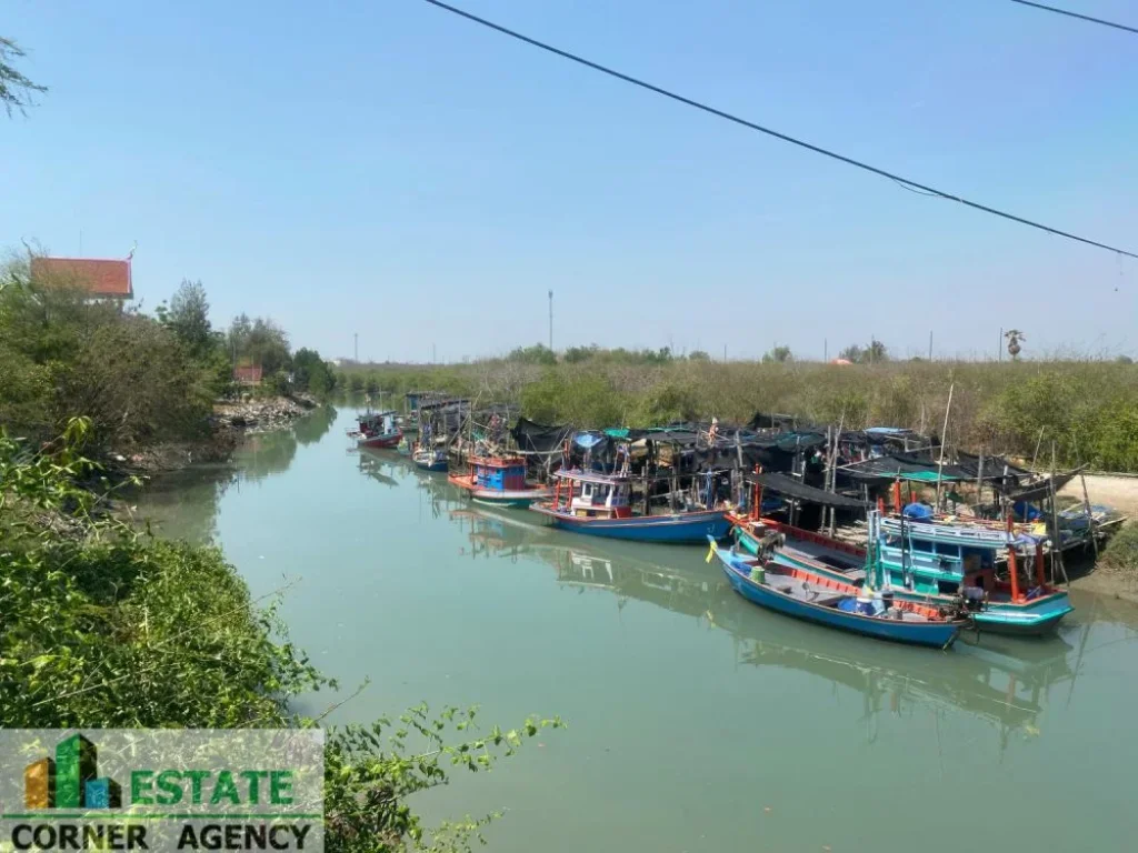 ขายที่ดิน ริมทะเล ตำบล แหลมผักเบี้ย อำเภอ บ้านแหลม จังหวัด เพชรบุรี