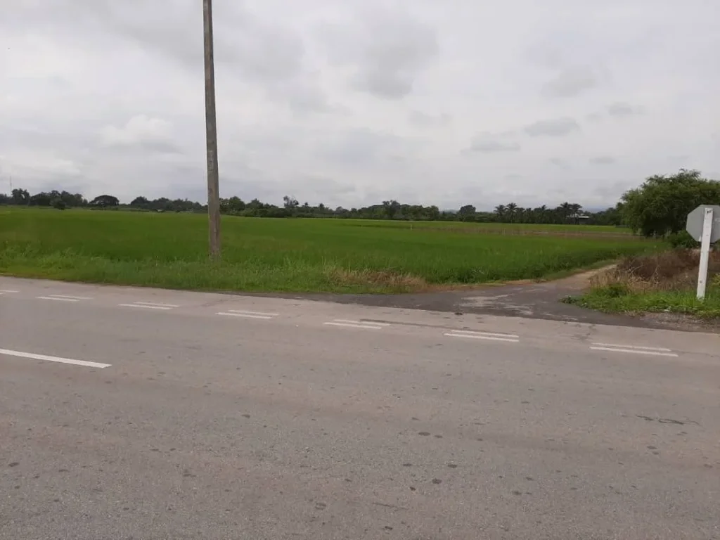 ขายที่ดินติดถนนบ้านกาด สันป่าตอง เชียงใหม่