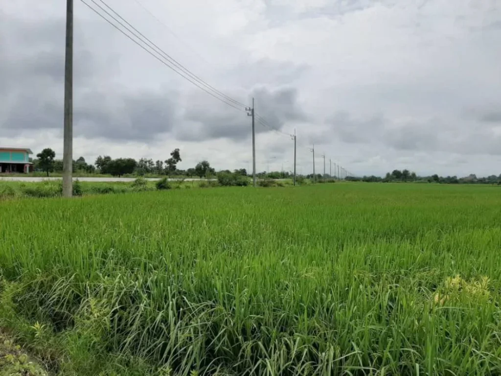 ขายที่ดินติดถนนบ้านกาด สันป่าตอง เชียงใหม่