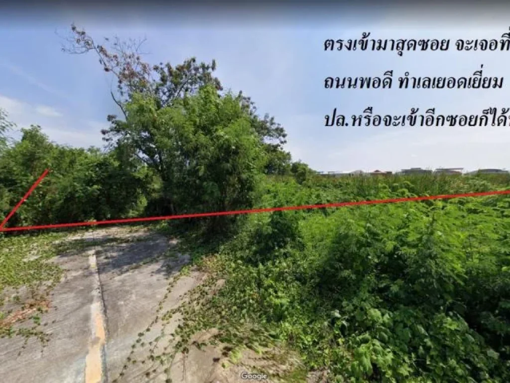 ขายที่ดินสวย 5 ไร่ ติดถนนทั้ง 2 ด้าน ใกล้ รรนวลนรดิศ วิทยาคม บางบอน กรุงเทพ