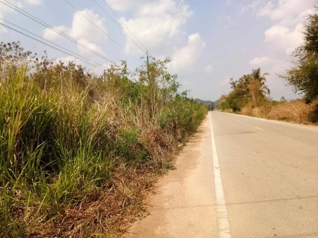 ขายที่ดิน ติดถนนลาดยาง ท่ายาง เพชรบุรี