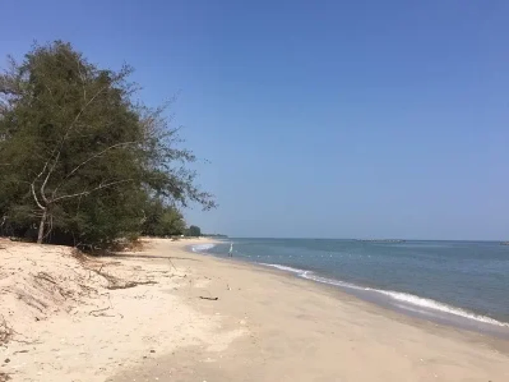 ขายที่ดิน ติดชายทะเลหาดเจ้าสำราญ จังหวัดเพชรบุรี ที่สวยมาก