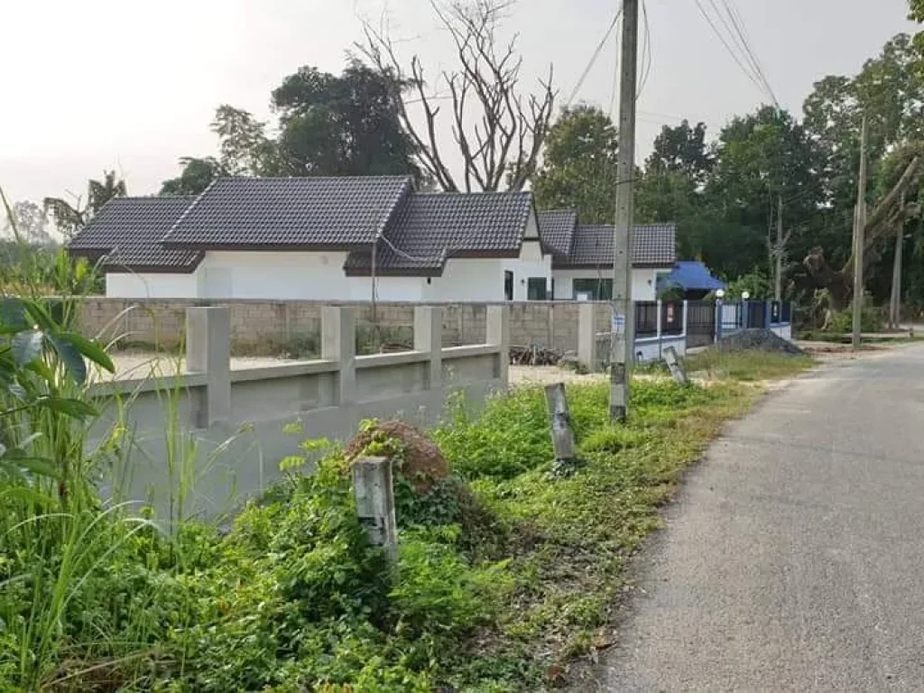 ขายที่ดินสันพระเนตร ค้าขายได้ ติดถนนคอนกรีต