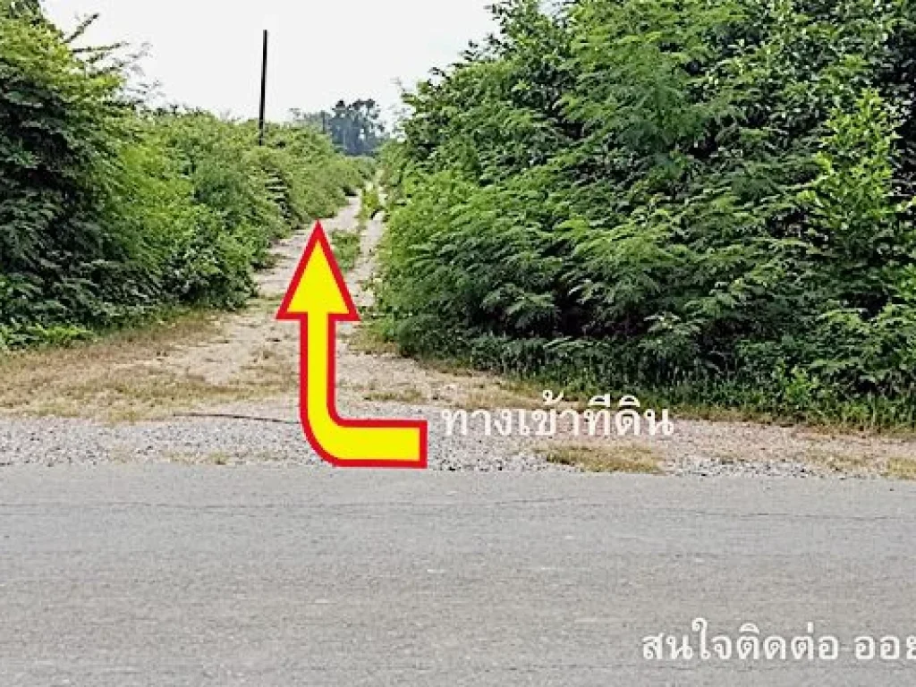 ขายที่ดินเปล่าจัดสรร 100 ตรว แปลงที่ 1 ปราณบุรี เนื้อที่100 ตรว