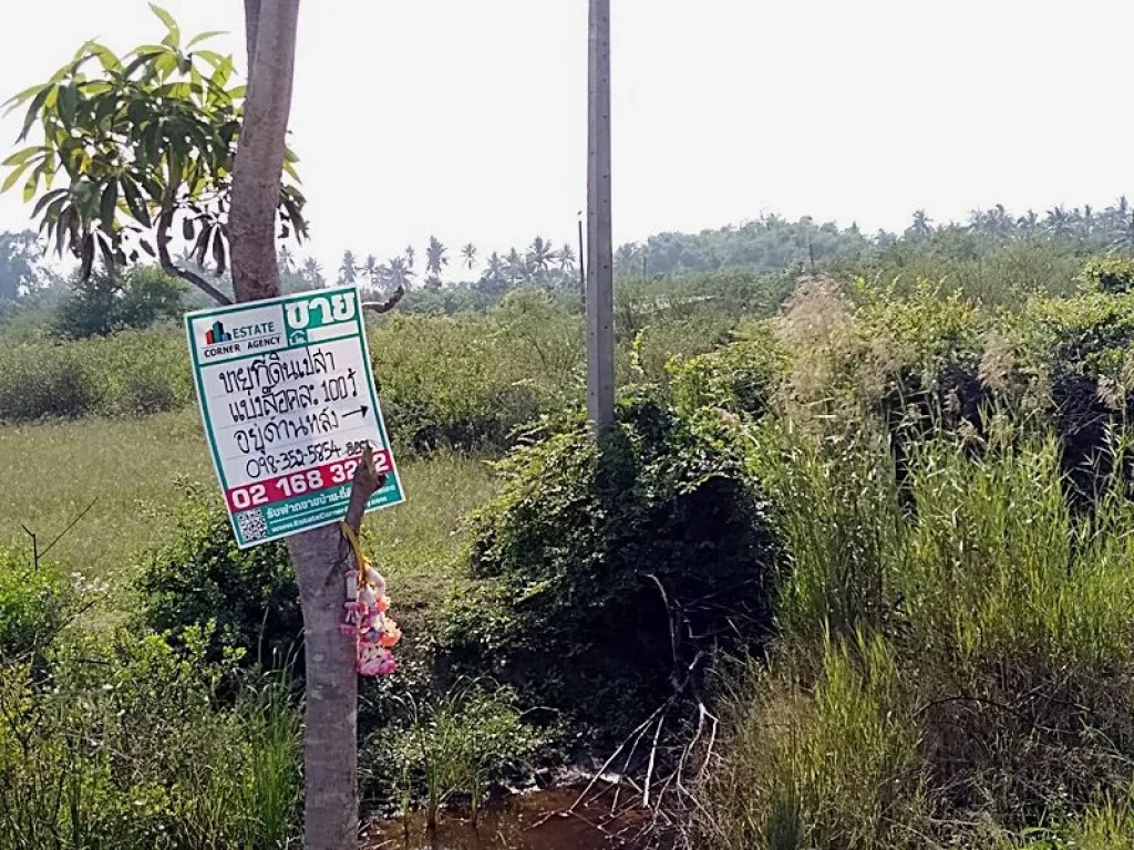 ขายที่ดินเปล่าจัดสรร 100 ตรว แปลงที่ 4 ปราณบุรี ใกล้ถนนเพชรเกษม ประมาณ 500 เมตร