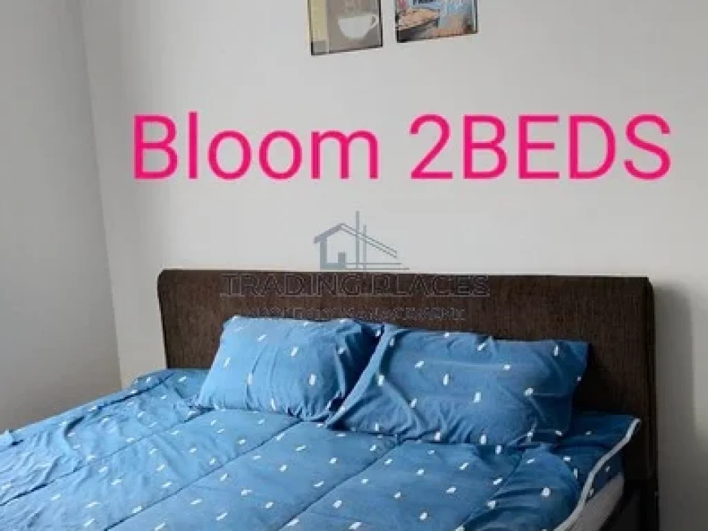 ให้เช่า The Bloom Sukhumvit 71 ขนาด 60ตรม 2 ห้องนอน 24k