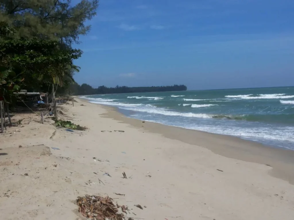 ขาย เช่า ที่ดินชายหาดใกล้ทับสะแก 173 ตรว