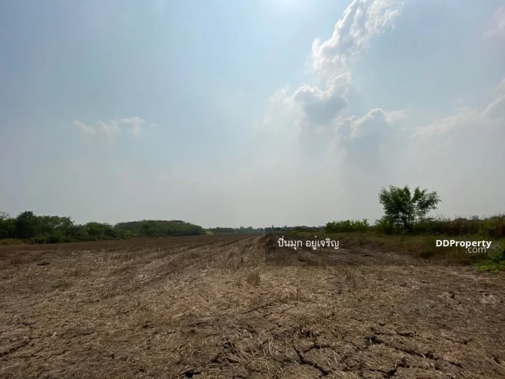 ขายที่ดิน ตำบล ทรายกองดิน ถนนนิมิตรใหม่ 22 กรุงเทพ 3ไร่ 1งาน 44 ตรว