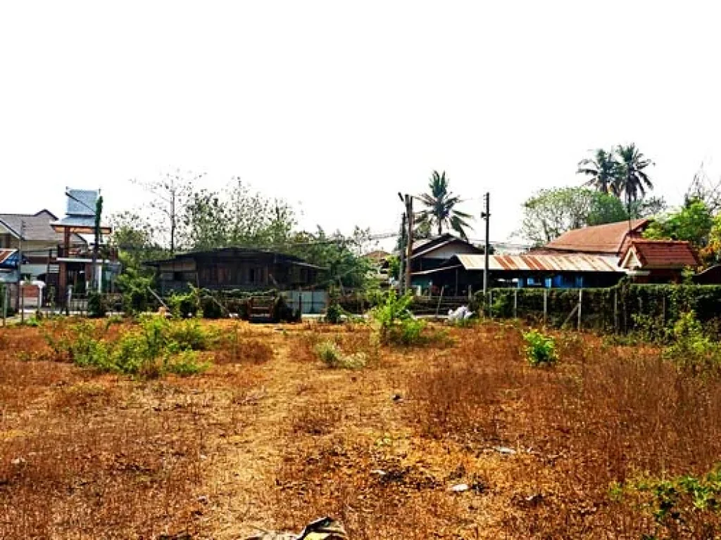 ขายที่ดิน เวียงกุมกาม ท่าวังพร้าว สารภี เชียงใหม่