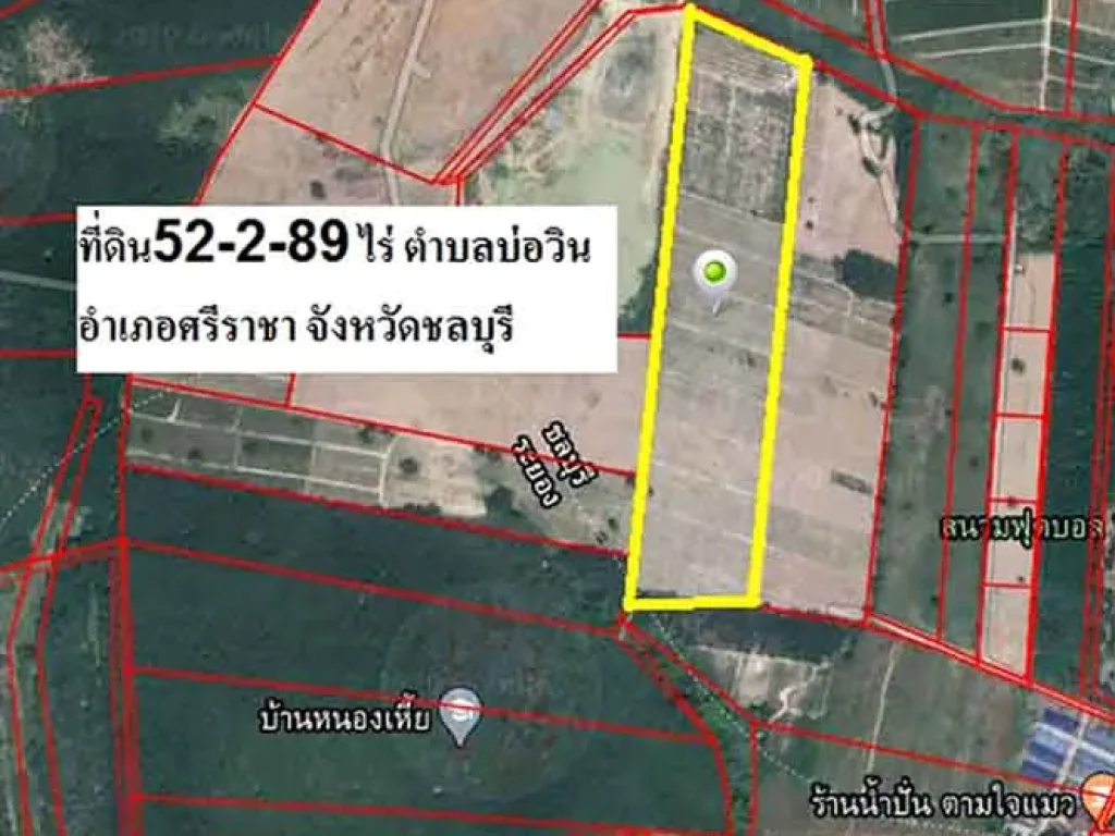 ขายที่ดินพร้อมสวนสับปะรดพันธุ์ศรีราชา 52-2-89ไร่ ใกล้นิคมบ่อวิน เหมาะลงทุน ราคาคุยกันได้ค่ะ