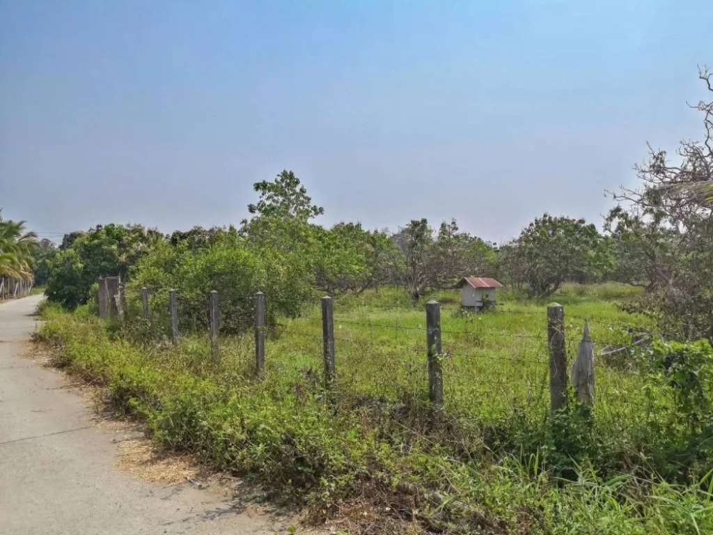 ขายที่ดินเลียบรถไฟสารภีซอย 1 สารภี เชียงใหม่