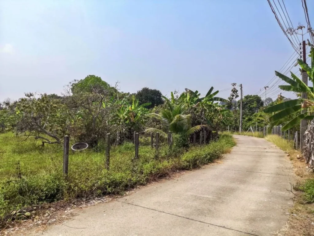 ขายที่ดินเลียบรถไฟสารภีซอย 1 สารภี เชียงใหม่