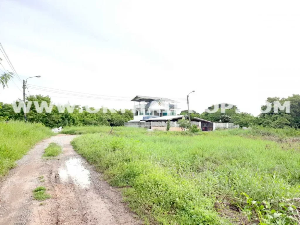 ที่ดิน ซร่วมพัฒนา สุวินทวงศ์ 90 หนองจอก