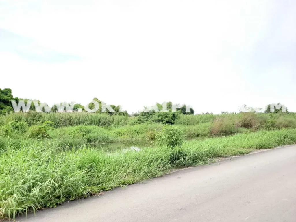 ที่ดิน ซร่วมพัฒนา สุวินทวงศ์ 90 หนองจอก