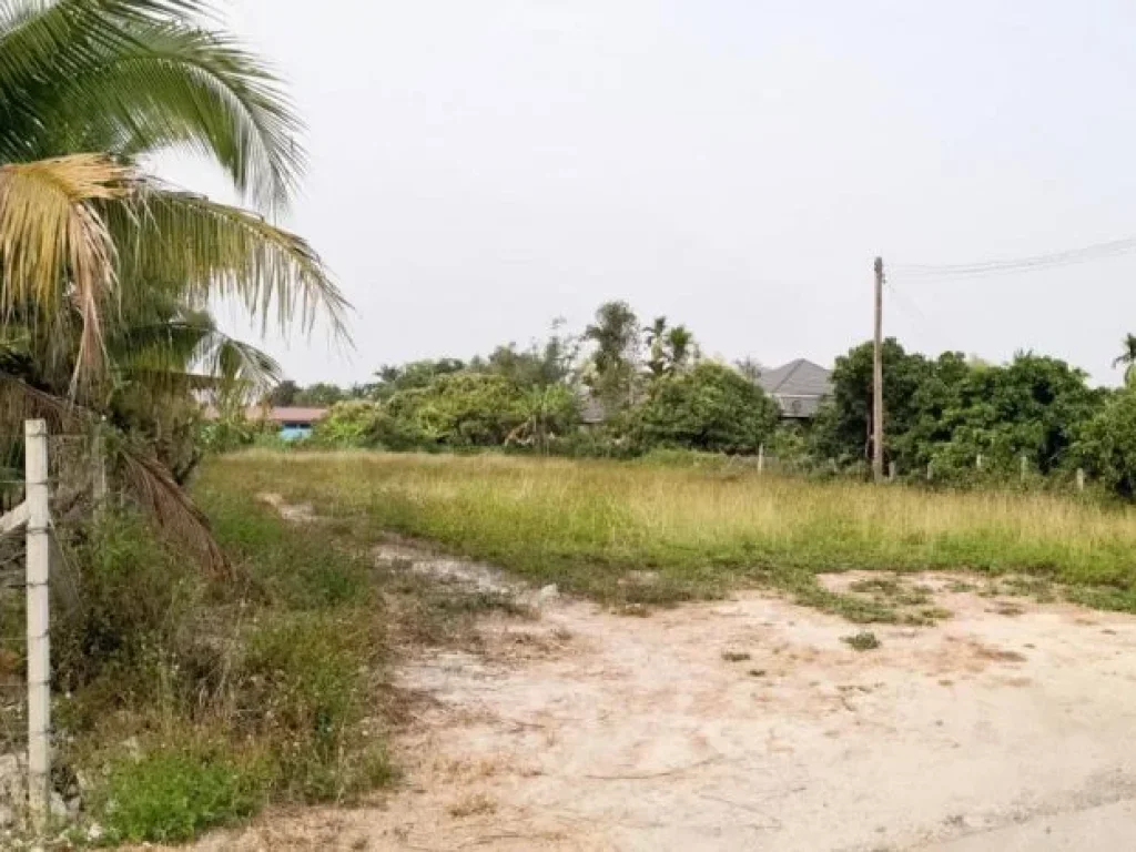 ขายที่ดินห่างถนนเลียบรถไฟเพียง 260 เมตร สารภี เชียงใหม่