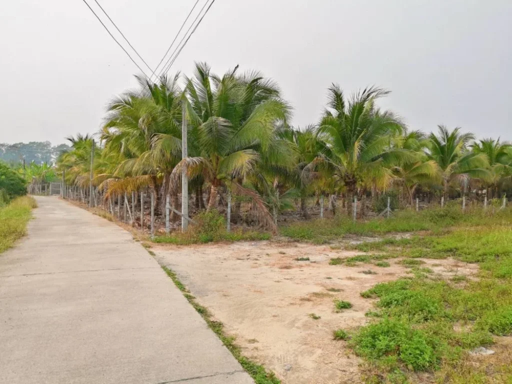 ขายที่ดินห่างถนนเลียบรถไฟเพียง 260 เมตร สารภี เชียงใหม่