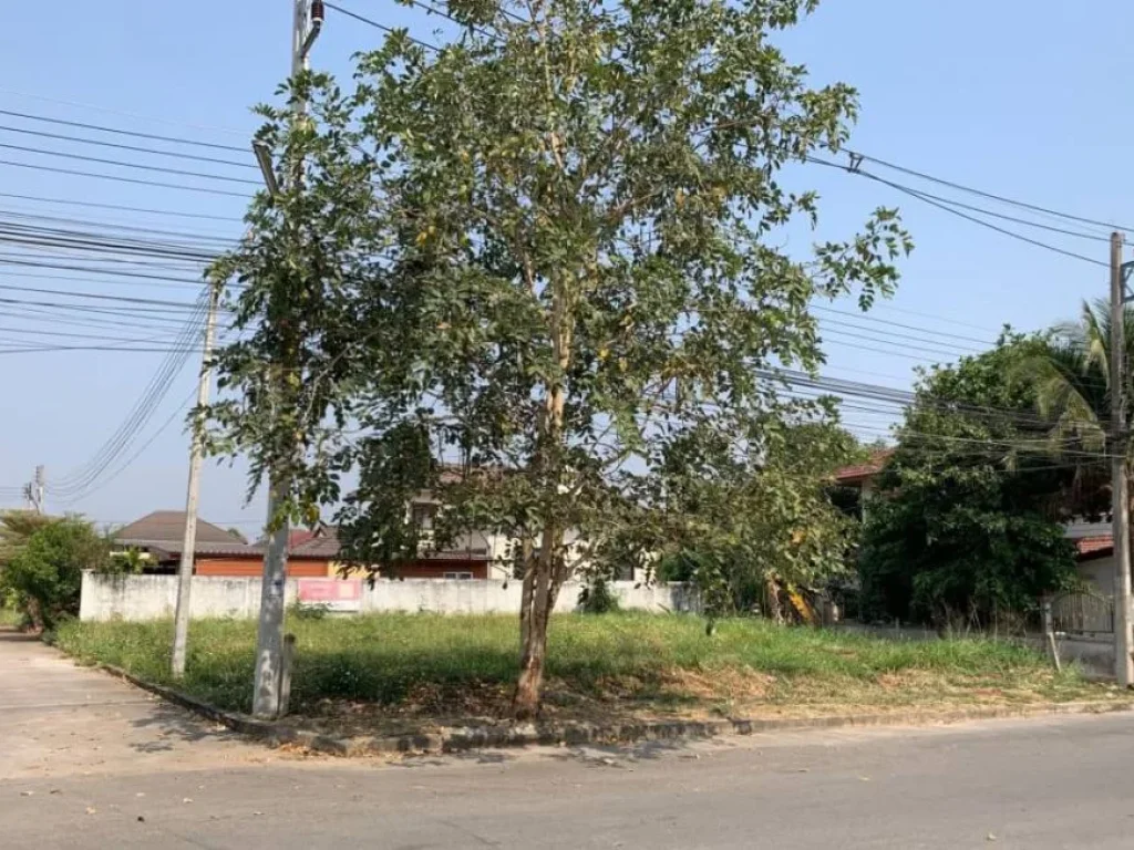 ขายที่ดินแถวเลียบคลองชลประทานติดถนนสองด้าน ตำบลสุเทพ เชียงใหม่