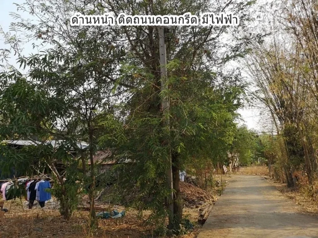 ขายที่ดินโฉนด ท่าพล บ้านโนนสง่า เพชรบูรณ์ น้ำไฟครบ แหล่งชุมชน ติดถนนสาธารณะ เพียง 25 กิโลจากถนน 21