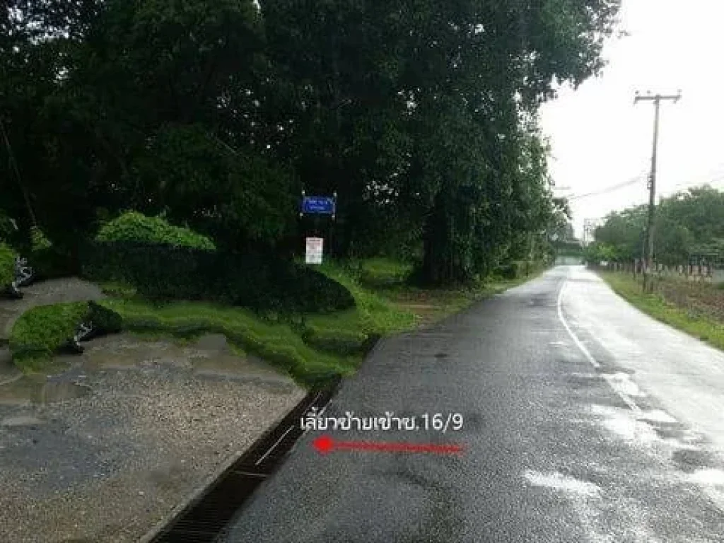 ขายที่ดินปากกอง สารภี ห่างถนนต้นยาง 1km