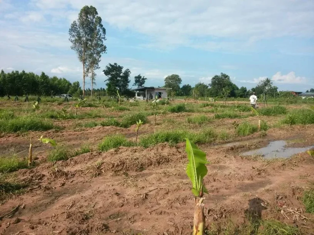 ที่ดินสวนเกษตรพร้อมบ้าน ราคาถูก ตสระขวัญ จสระแก้ว