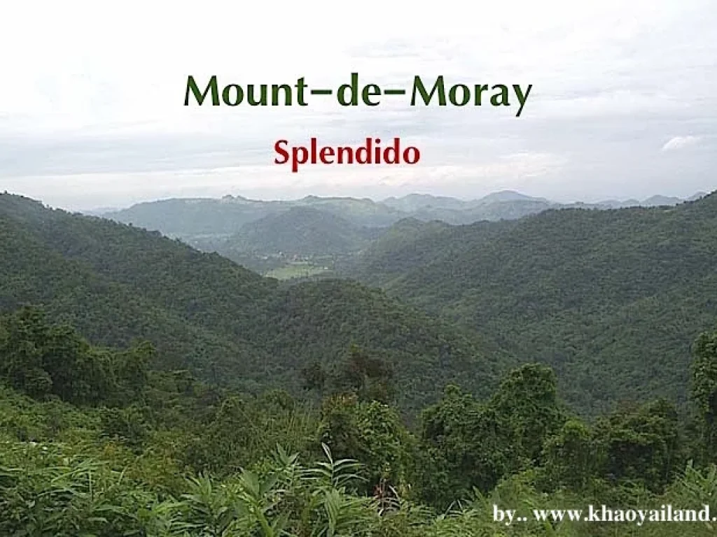 แบ่งขายที่ดินสวยพัฒนาอย่างดี Mount-de-Moray บนที่เนินเขาสูงกว่า 450 เมตร ระดับน้ำทะเล แบ่งขายเหลือเพียง 3 แปลงเท่านั้น